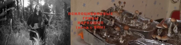 a pvp Кукмор