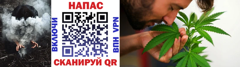 где купить наркоту  Щигры  Канабис Ganja 